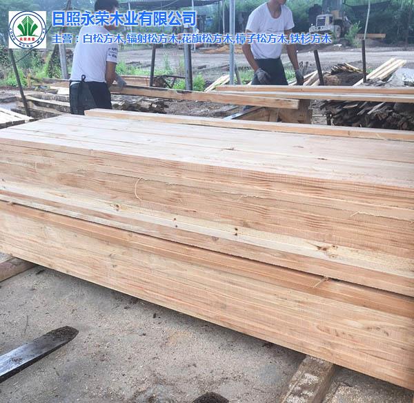辐射松工地木方生产厂家-辐射松工地木方-永荣木材