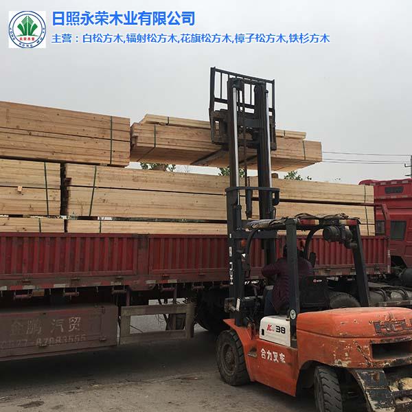 铁杉建筑木材-铁杉建筑木材供应商-日照永荣木材加工厂