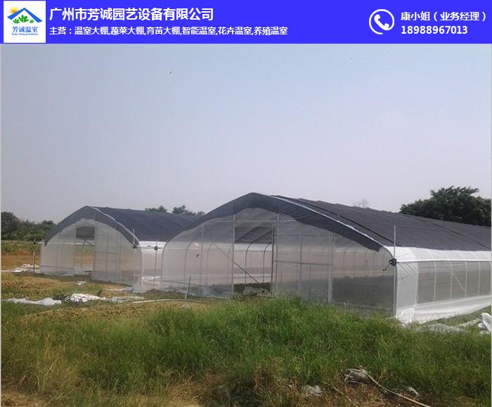 广州蔬菜温室大棚、蔬菜温室大棚、芳诚园艺，高效