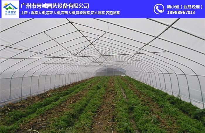 廣州蔬菜大棚_芳誠園藝，周到_廣州蔬菜大棚建造