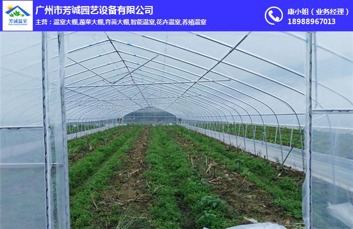 廣州蔬菜大棚、廣州蔬菜大棚建設、芳誠園藝，周到(多圖)