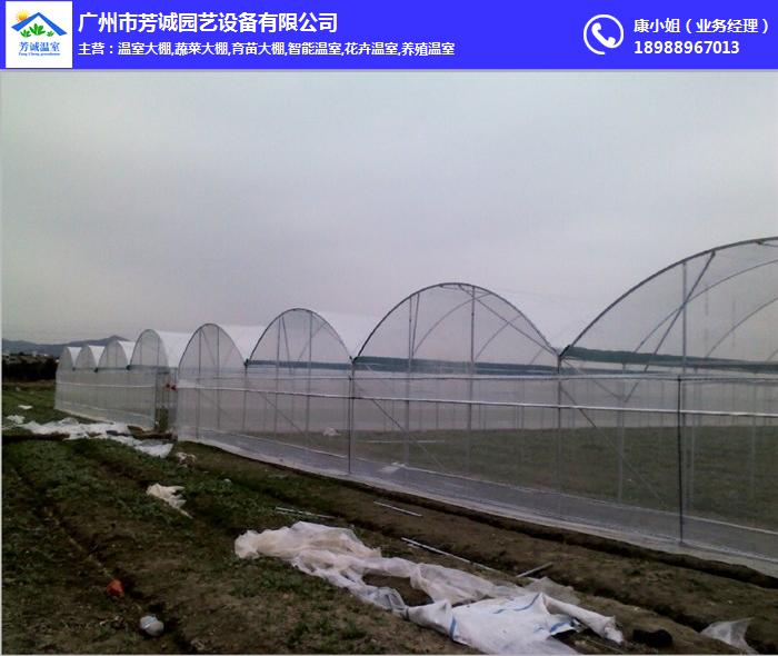蔬菜大棚(多图)_广州最专业蔬菜大棚厂家？