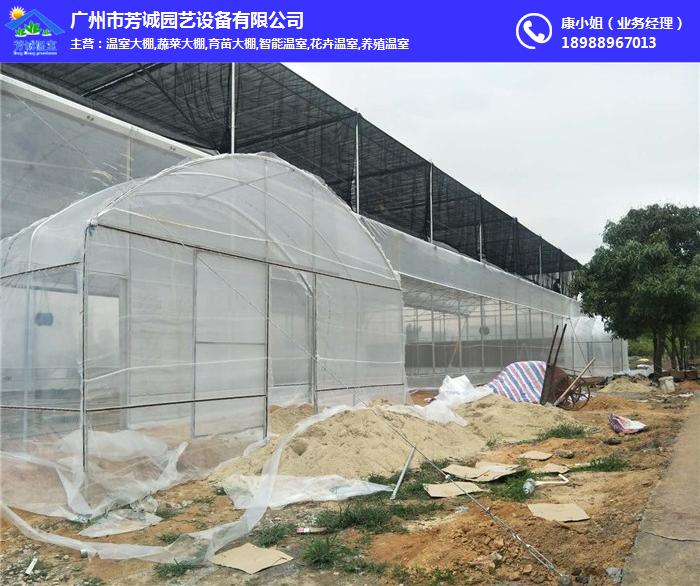 安福温室大棚-广州蔬菜大棚(在线咨询)-温室大棚设计