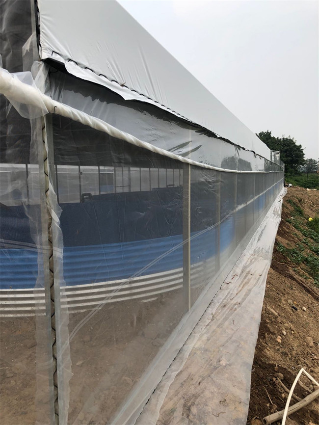 貴陽養殖大棚-芳誠溫室隨時在線-養殖大棚施工