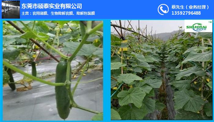地膜蔬菜育苗、硕泰，广东东莞地膜生产厂、地膜
