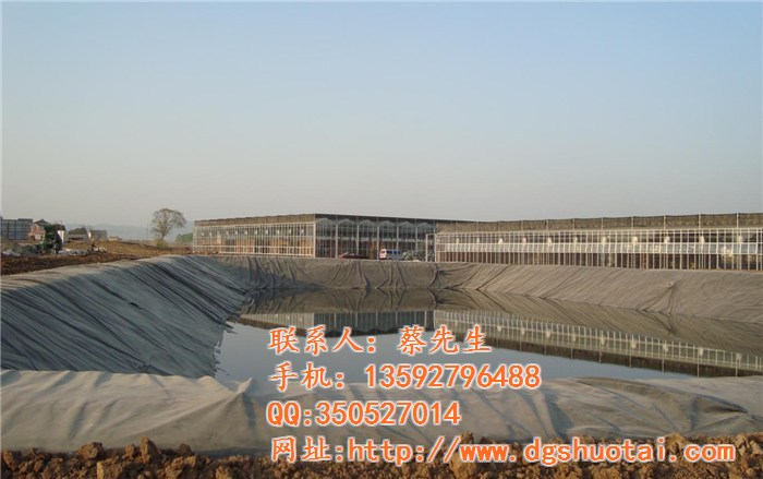 碩泰，廣東東莞土工膜生產廠、土工膜飲用水池的防滲、土工膜