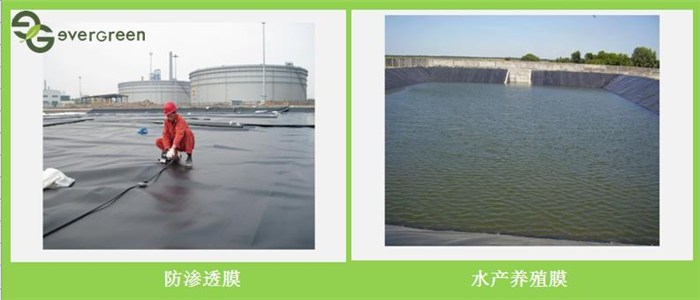 鱼塘养殖防渗土工膜、土工膜、硕泰，广东东莞土工膜生产厂