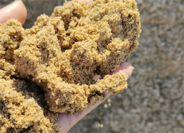 旺达建材规格齐全(图)-天津沙子生产厂家-天津沙子