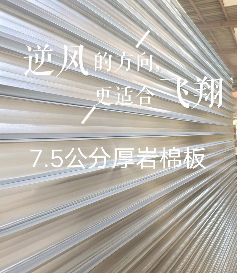 梅州泡沫彩钢板-欣宏翔(在线咨询)-泡沫彩钢板厂家