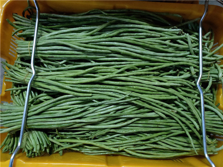 鐘村街道生鮮蔬菜配送-和康食品(在線咨詢)-生鮮蔬菜配送招標(biāo)