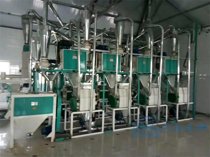 甘肃面粉加工机械-尊龙凯时粮油机械质量至上-面粉加工机械供应厂家