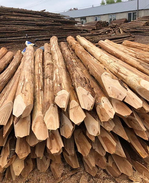 新乡护坡桩-乐业木业(在线咨询)-护坡桩报价