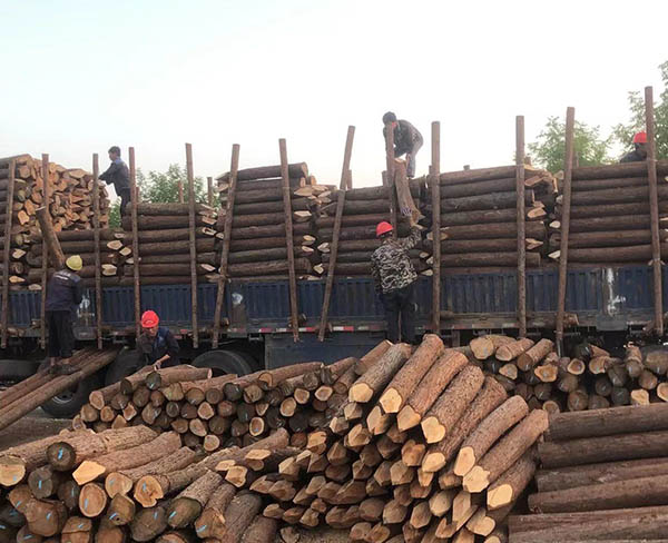烟台景观桩-乐业木业(在线咨询)-杉木景观桩