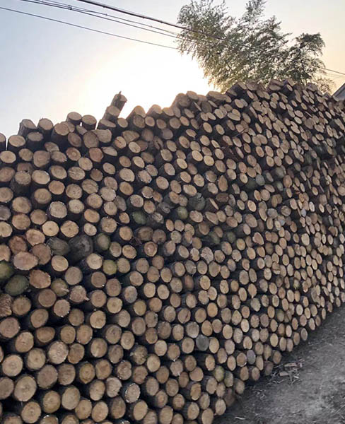园林绿化杆厂家-江苏园林绿化杆-宣城乐业杉木桩多少钱