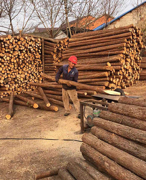 威海园林绿化杆-乐业木业(在线咨询)-园林绿化杆厂家