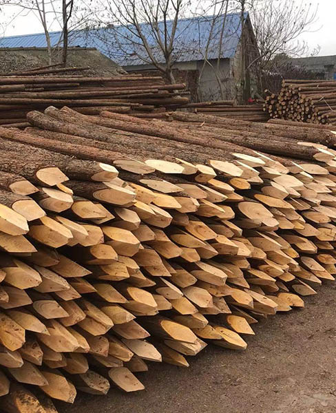潍坊打桩木-乐业木业(在线咨询)-批发打桩木