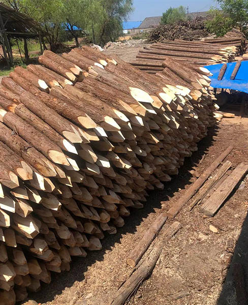 打桩木-宣城乐业杉木桩多少钱-打桩木多少钱