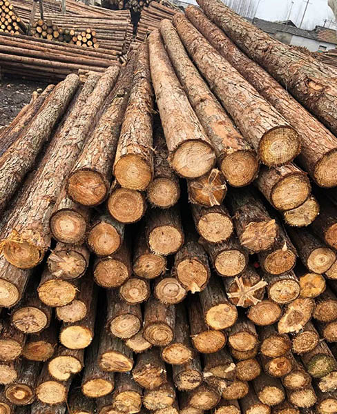 烟台景观桩-乐业木业(在线咨询)-景观桩价格