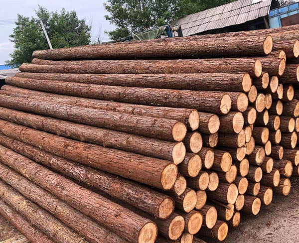 盐城杉木桩-宣城乐业杉木桩多少钱-杉木桩多少钱