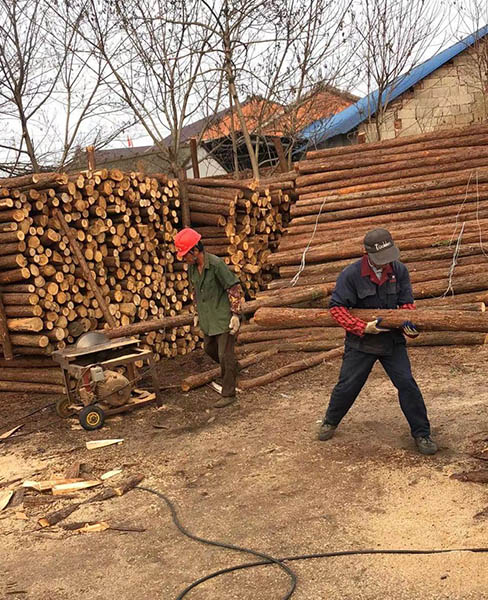 宣城乐业杉木景观桩(图)-打桩木厂家-淄博打桩木