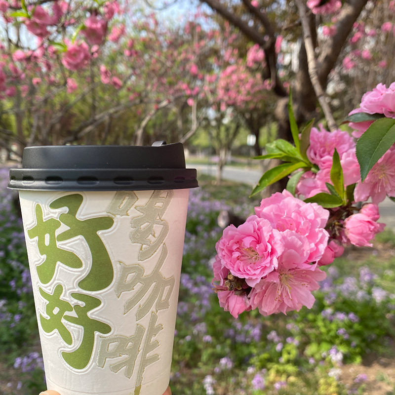 昆明发笑杯-山东津清美实力厂家-发笑杯定制