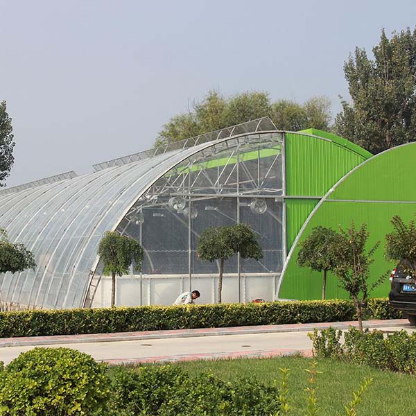 亳州温室种植大棚多少钱-金淼-现代化温室种植大棚多少钱