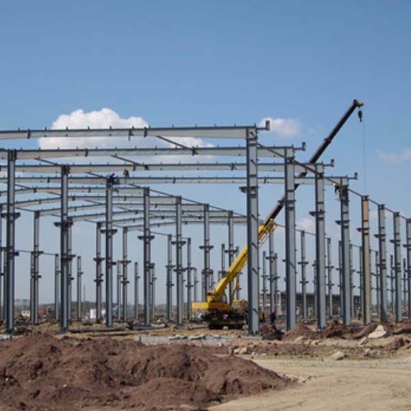 钢结构大棚建设-平顶山钢结构大棚-金淼行业