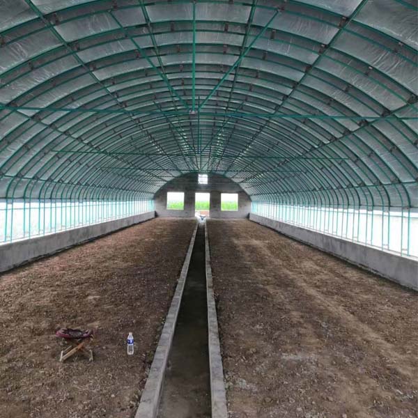 亳州养殖温室大棚公司-金淼(在线咨询)-新型养殖温室大棚公司
