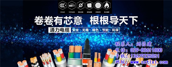 陜西電纜廠(圖)_yjlv鋁芯電纜電纜_黃南電力電纜