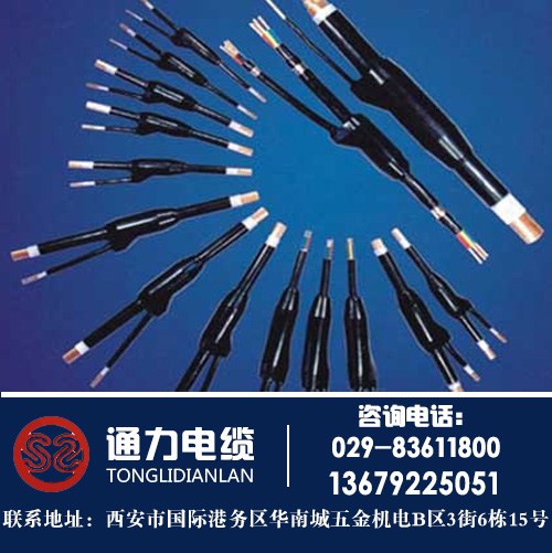 商南县预分支电缆_通力电缆(在线咨询)_预分支电缆是什么