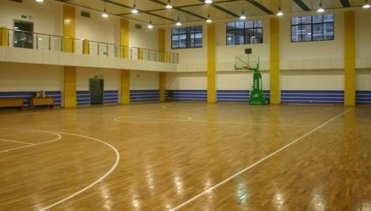 立美体育(图)-运动木地板价格-江城运动木地板
