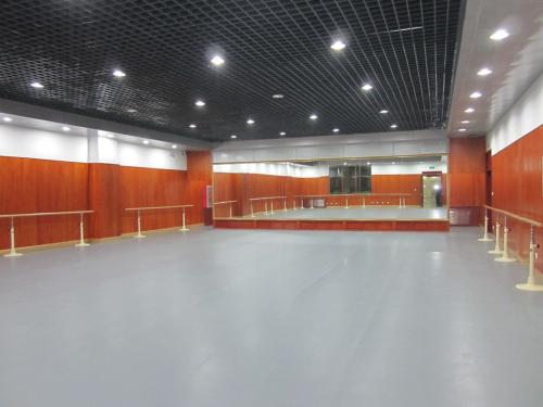 立美建材官方认证-舞蹈馆木地板尺寸-舞蹈馆木地板