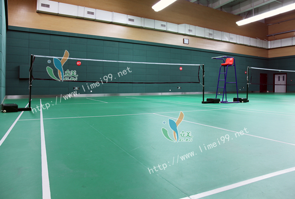 PVC运动胶地板价格、溧阳PVC运动胶地板、立美体育