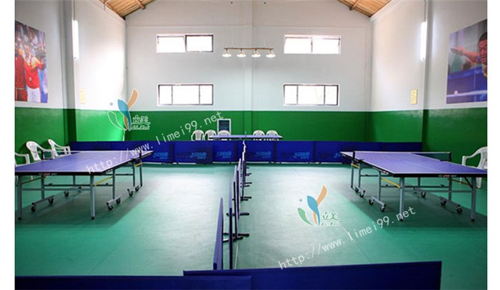 新塘PVC运动胶地板,立美体育,PVC运动胶地板种类