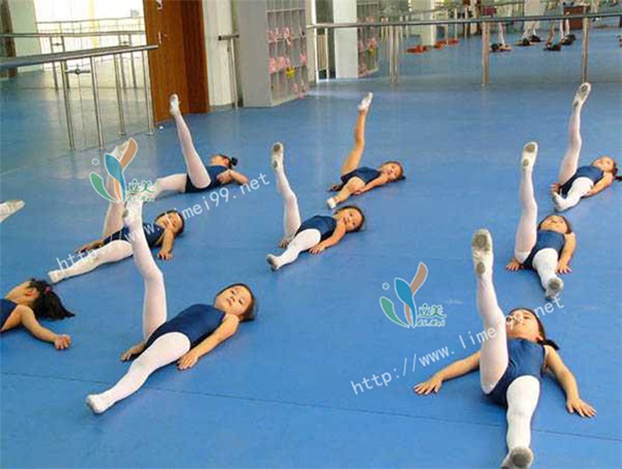 舞蹈室用PVC舞蹈地胶|百合PVC舞蹈地胶|立美建材
