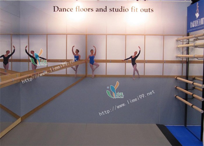 平陵镇PVC运动胶地板,舞蹈室PVC运动胶地板,立美建材
