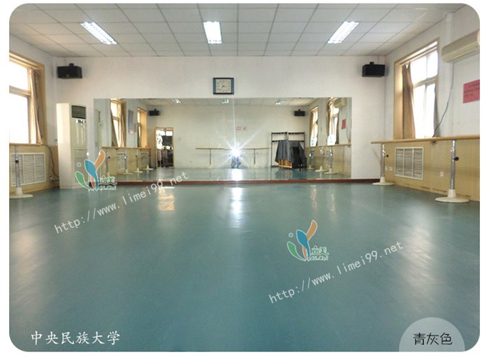 惠州PVC舞蹈地胶|PVC舞蹈地胶规格|立美建材