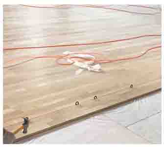 虎门体育木地板|立美体育(在线咨询)|体育木地板价格