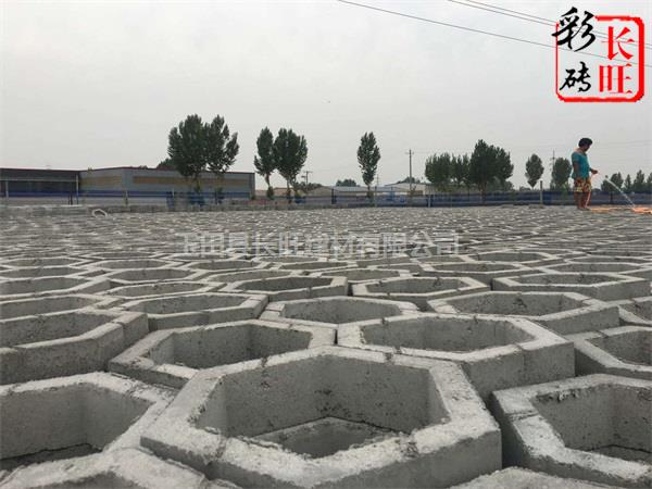 长旺建材厂(图)-天津水泥砖批发-天津水泥砖