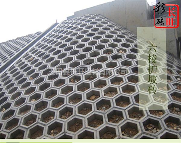 北京護坡磚廠家-長旺建材(原寶坻富強水泥制廠)-護坡磚