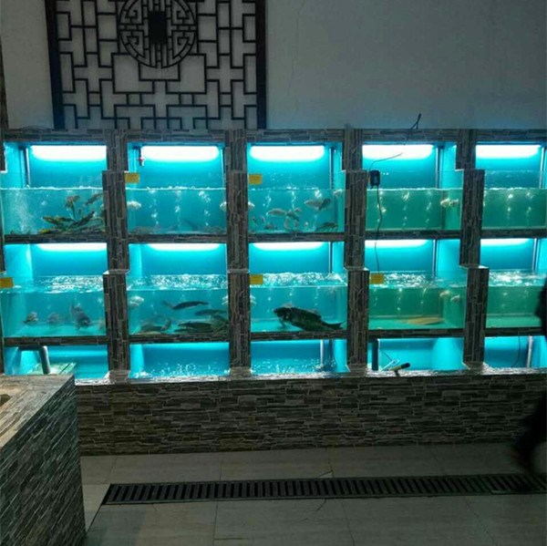 杭州饭店鱼缸|搏鳌水族|杭州饭店鱼缸制作