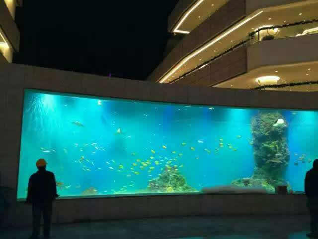 一點水海鮮池廠家(圖)-觀賞魚缸制作-滁州觀賞魚缸