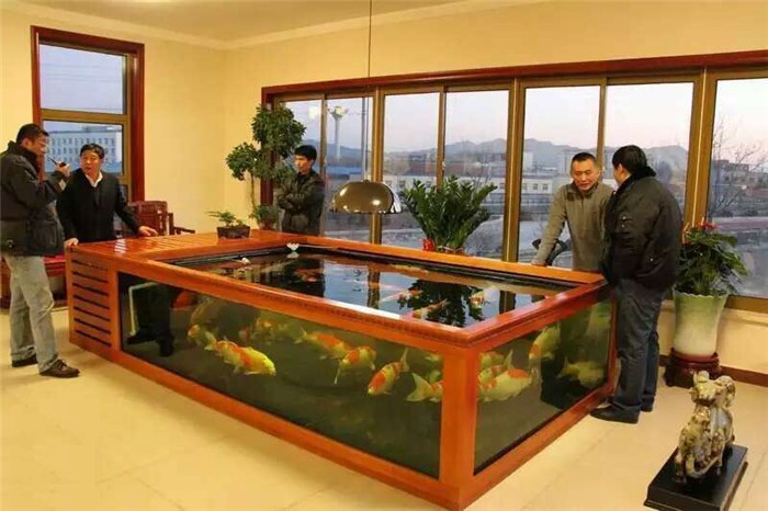 南京魚缸-一點水海鮮池(推薦商家)-魚缸制作