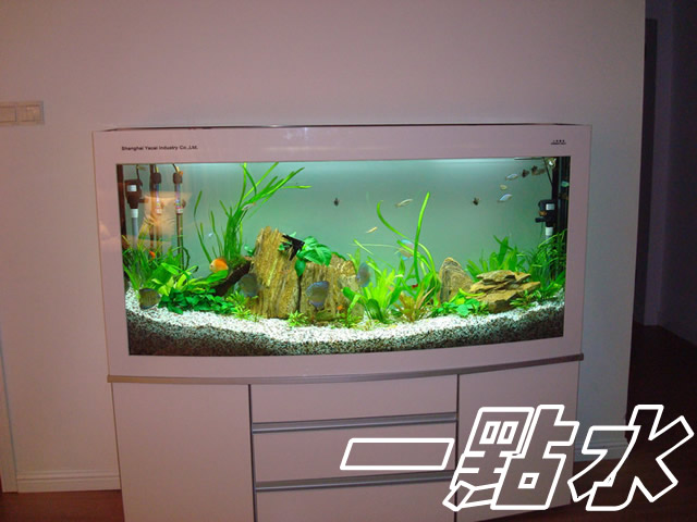 一點水海鮮池制作(圖)-生態魚缸價格-六安生態魚缸