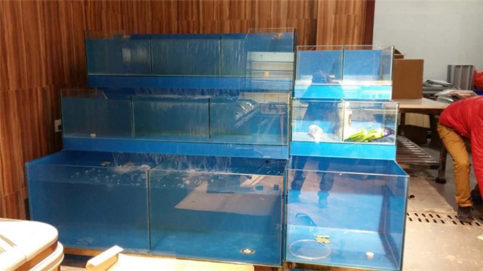 宣城亞克力魚缸-一點水海鮮池(在線咨詢)-亞克力魚缸工程