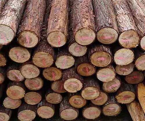 宣城市順發木業有限公司