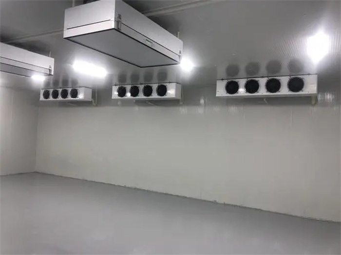冷庫安裝-新融制冷(在線咨詢)-日照水果冷庫安裝廠家