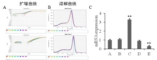 贵州pcr-基因检测怎么做-南京英瀚斯生物科技