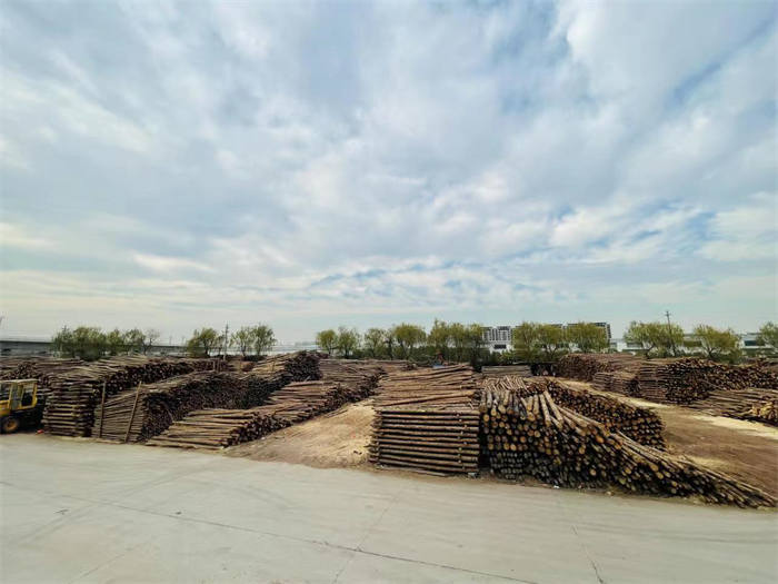 池州松木樁-松木樁價格-歡迎光臨益弘木材(多圖)