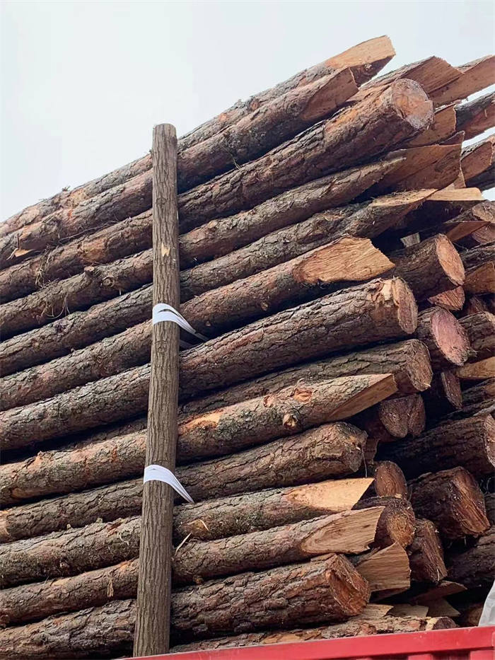 歡迎光臨益弘木材(圖)-杉木樁批發價格-杭州杉木樁